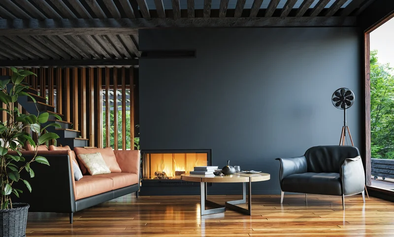 Dark charcoal gray painted living room with modern fireplace