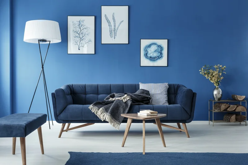 Accent wall interior paint in vibrant royal blue in a modern living room.