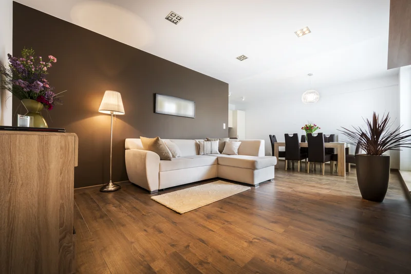 Interior home painting showcasing a brown accent wall in living area.